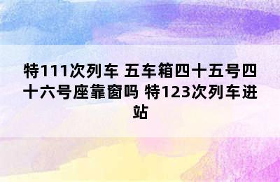 特111次列车+五车箱四十五号四十六号座靠窗吗 特123次列车进站